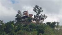 Tranquility Estate Bed And Breakfast Kingston Exterior photo